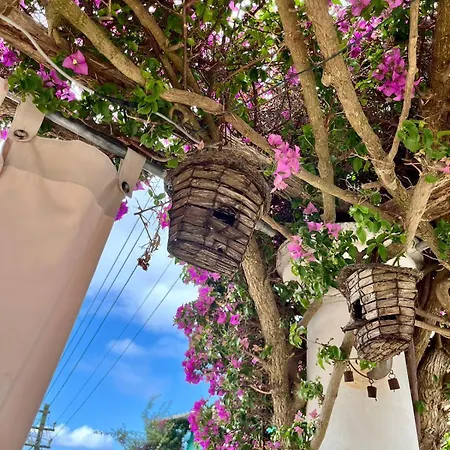 Alle Stelle Bed & Breakfast