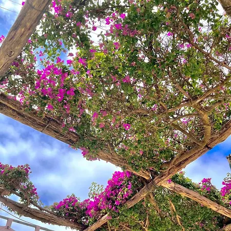 Bed & Breakfast Alle Stelle